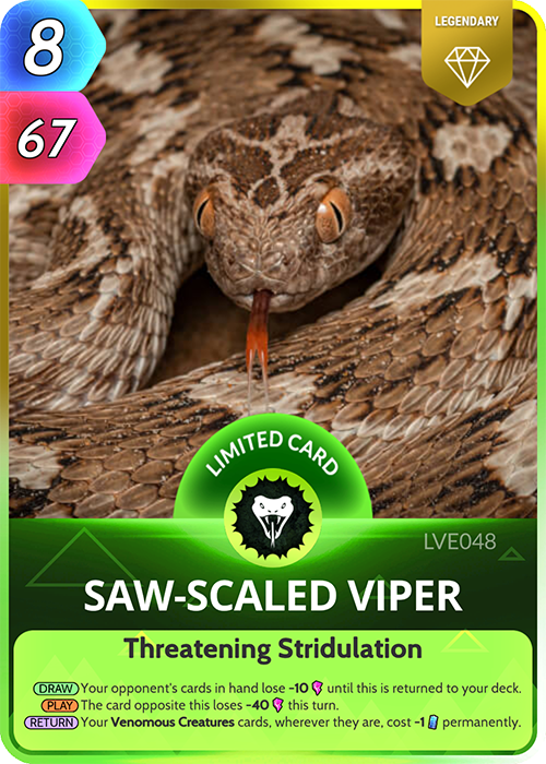 Saw-Scaled Viper